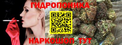 хмурый Вышний Волочёк