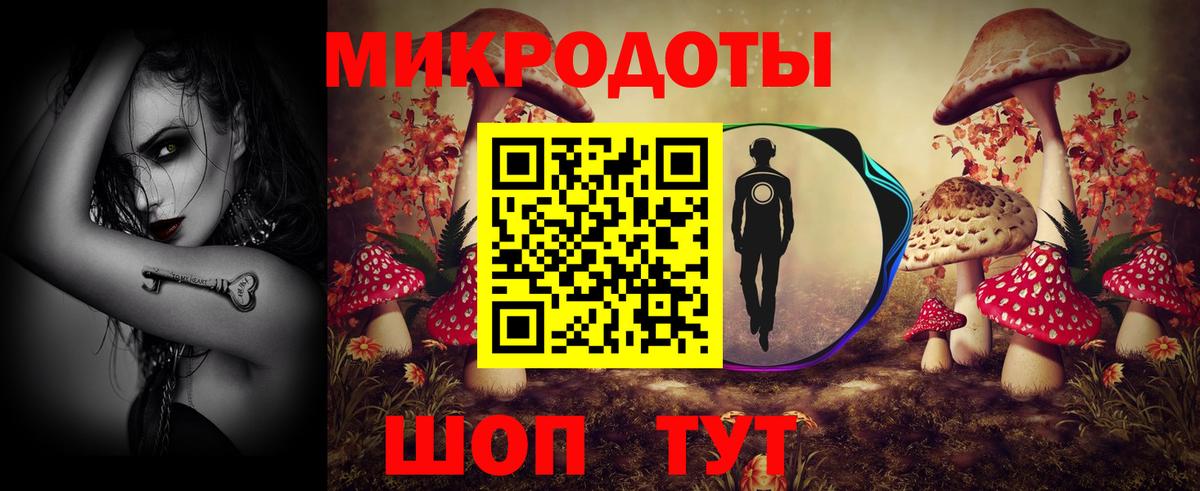 Псилоцибиновые грибы Psilocybe  Вход с VPN  Назарово 
